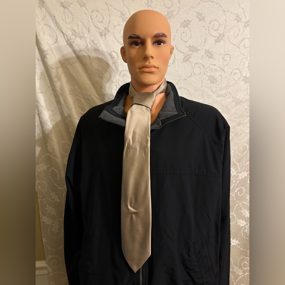 Sears The Mens Store arc de triomphe 100% Nylon Tan Tie (Good Condition)